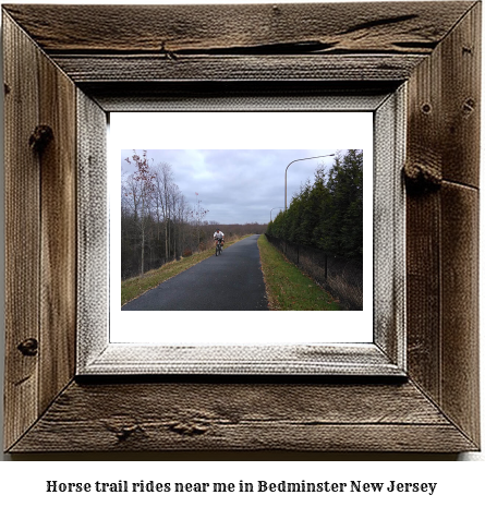 horse trail rides near me in Bedminster, New Jersey